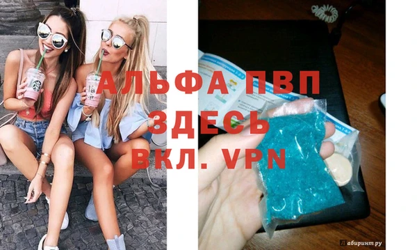 экстази Ельня