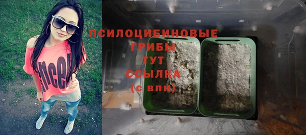 экстази Ельня